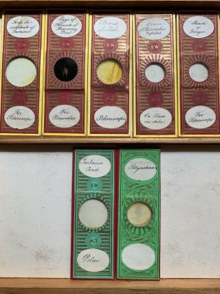 Tray 1 Antique Microscope Slides Wheeler Polariscope Old Rare Various 7 In Total