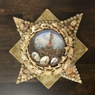 Antique Victorian Sailor Valentine Folk Art Sea Shell Framed Picture Star Shape