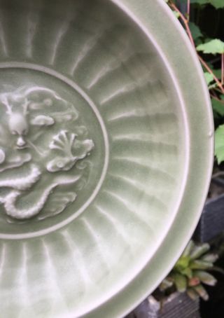 Antique chinese song Longquan Celadon Small Porcelain Plate Dragon Motif 3