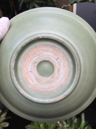 Antique chinese song Longquan Celadon Small Porcelain Plate Dragon Motif 6