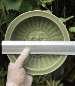 Antique chinese song Longquan Celadon Small Porcelain Plate Dragon Motif 9