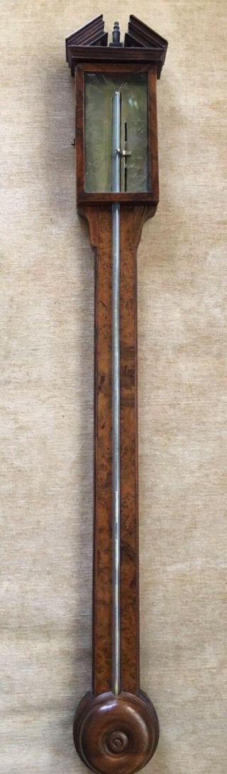 Stunning Antique G.  Pistalla Mahogany And Burl Wood Stick Barometer