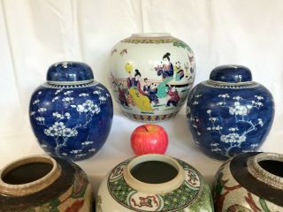 6 - A selection of 7 large Chinese ginger tea jars rose/verte/prunus 19th/20thc 3