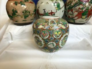 6 - A selection of 7 large Chinese ginger tea jars rose/verte/prunus 19th/20thc 5