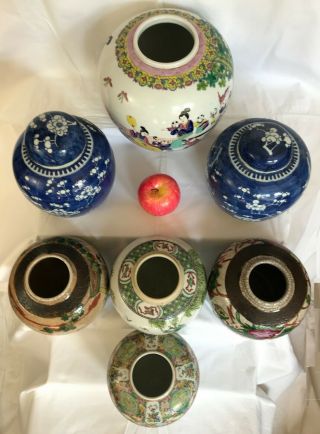 6 - A selection of 7 large Chinese ginger tea jars rose/verte/prunus 19th/20thc 6