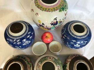 6 - A selection of 7 large Chinese ginger tea jars rose/verte/prunus 19th/20thc 7