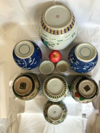 6 - A selection of 7 large Chinese ginger tea jars rose/verte/prunus 19th/20thc 8