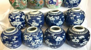 5 - A selection of 20 Chinese ginger tea jars famille rose prunus 19th/20thc 7