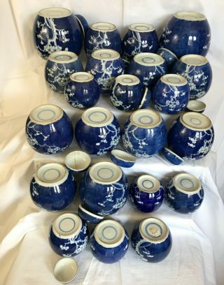 3 - A selection of 22 Chinese ginger tea jars blue & white prunus 19th/20thc 10