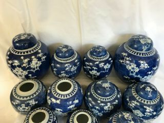 3 - A selection of 22 Chinese ginger tea jars blue & white prunus 19th/20thc 3