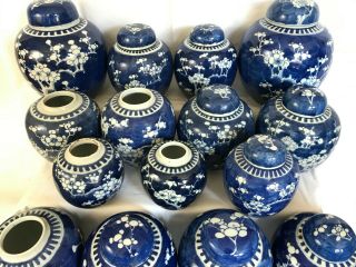 3 - A selection of 22 Chinese ginger tea jars blue & white prunus 19th/20thc 4