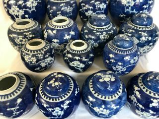 3 - A selection of 22 Chinese ginger tea jars blue & white prunus 19th/20thc 5