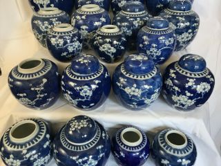 3 - A selection of 22 Chinese ginger tea jars blue & white prunus 19th/20thc 6