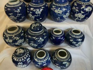 3 - A selection of 22 Chinese ginger tea jars blue & white prunus 19th/20thc 7