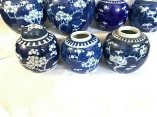 3 - A selection of 22 Chinese ginger tea jars blue & white prunus 19th/20thc 8