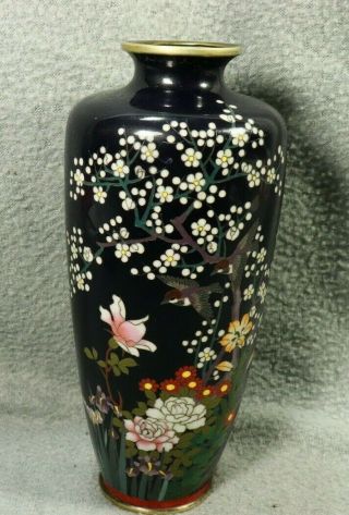 Meiji 19th C Japanese Cloisonne Plum Tree Blossoms & Sparrow Birds Vase Signed