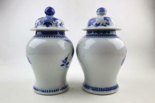 Pair Antique Chinese Blue & White Vases W/ Birds,  Lids,  19th/Early 20 C 2