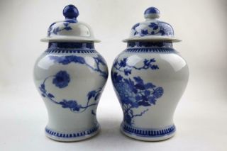 Pair Antique Chinese Blue & White Vases W/ Birds,  Lids,  19th/Early 20 C 3