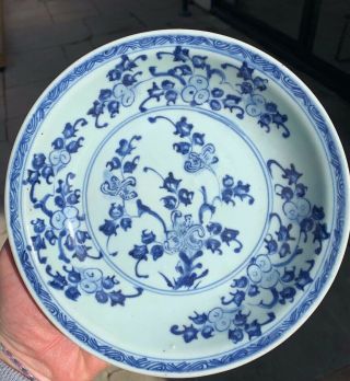 Perfect Antique Chinese Porcelain Plate 18th/19th Century Qing Dynasty