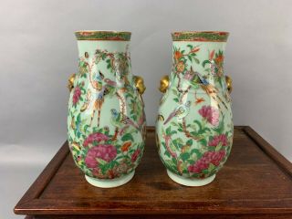 19th C.  Chinese Pair Famille - Rose Celadon - Ground Vases,  Jun