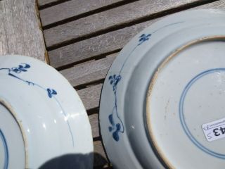 A Pair Chinese Blue and White Porcelain plate,  Kangxi period/18th 7