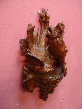 SMALL ANTIQUE CARVED OAK WALL POCKET WITH 2 BIRDS AND BIRDS NEST 3