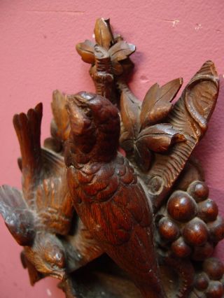 SMALL ANTIQUE CARVED OAK WALL POCKET WITH 2 BIRDS AND BIRDS NEST 5