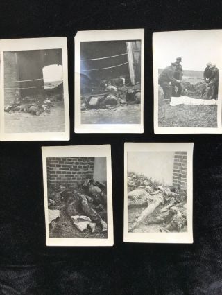 5 Wwii Photos - Germany Prison Camp Gruesome Dead Bodies 2.  5 " X 3.  75 " Taken 1945
