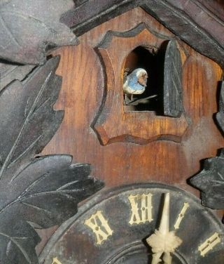 Antique c.  1905 American Cuckoo Co. ,  Philadelphia Clock 2 Weight 8