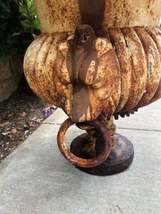 Monumental Antique Vintage French Cast Iron Fluted Lion Head Planter Urn WOW 10