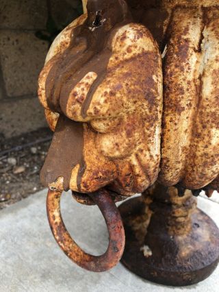 Monumental Antique Vintage French Cast Iron Fluted Lion Head Planter Urn WOW 3