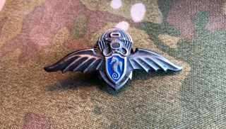 Ukrainian Frogman Udt/seal Combat Diver Badge Silver Class