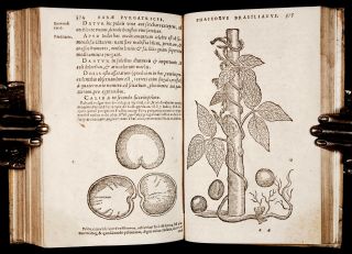 1593 ORTA,  MONARDES & ACOSTA MEDICINAL PLANTS of INDIA & AMERICA Medical Botany 2