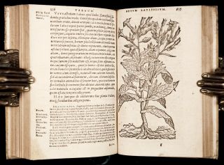 1593 ORTA,  MONARDES & ACOSTA MEDICINAL PLANTS of INDIA & AMERICA Medical Botany 3