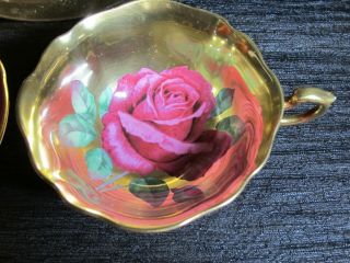 rare PARAGON Gold CABBAGE ROSE Tea Cup Saucer TRIO set Hand Painted STUNNING red 3