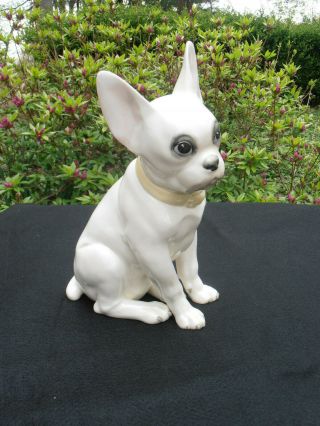 Large 12 " Porcelain Boston Terrier Figure - Made In Germany/handpainted/numbered