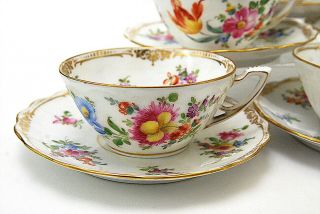 12 Pc Dresden Hand Painted Floral Wide Tea Cups & Saucers