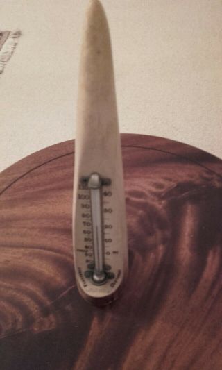 A RARE HORN THERMOMETER BY DREW & SONS PICCADILLY CIRCA 1887 - 1914 ORDER 6