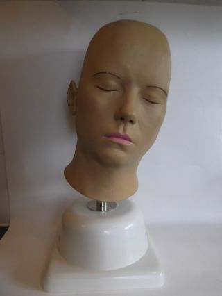 Rare Adam Rouilly Female Model Life Size Head Medical Ear Drum Canal
