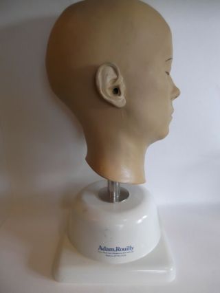 RARE Adam Rouilly Female Model Life Size head Medical Ear Drum Canal 4
