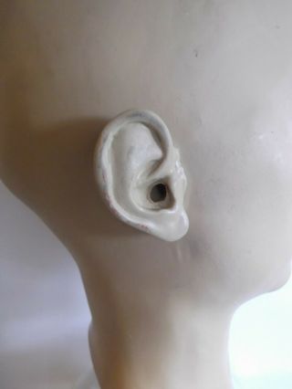 RARE Adam Rouilly Female Model Life Size head Medical Ear Drum Canal 5