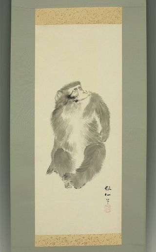 掛軸1967 Japanese Hanging Scroll : Mori Sosen " Monkey " @b586