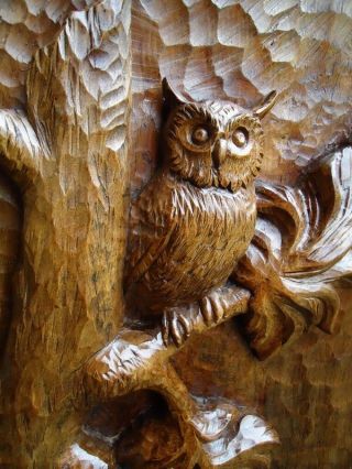 ANTIQUE BLACK FOREST CARVED WOOD PLAQUE - WOOD CARVING - RABBIT - OWL - WALL PANEL - RARE 7