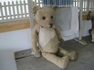 Old Vintage Primitive Jointed Tall Teddy Bear Long Nose Great Face Wonderful 4