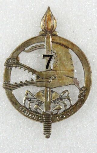 French Army Badge: 1e Régt Etranger De Cavalerie,  7e Groupe D 