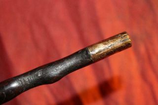 Extraordinary 19th Century Irish Thorn Wood Shillelagh 