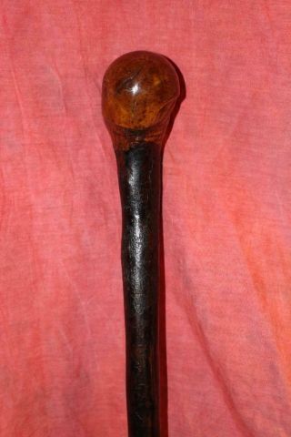 Extraordinary 19th Century Irish Thorn Wood Shillelagh 