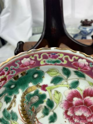 Chinese Famille Rose Porcelain Nyonya Straits Phoenix Plate 19th C No.  1 8