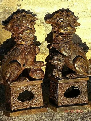 Victorian Antique Brass Bronze Asian Temple Lions Foo Dogs Museum