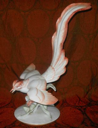 Monumental 18 1/2 " Rosenthal Porcelain Bird Of Paradise 1938 Mark F.  Heidenreich